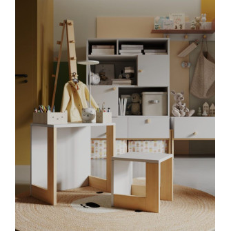 Chair and table set (Alpine collection)